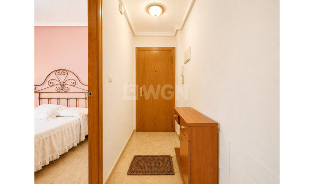 Wiederverkauf - Wohnung - Torrevieja - Costa Blanca