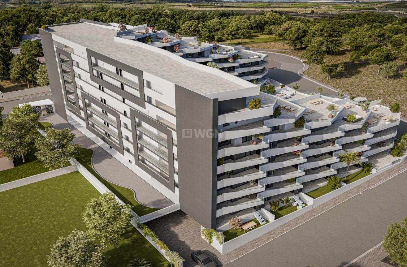 Neue Gebäude - Wohnung - San Miguel de Salinas - Pueblo