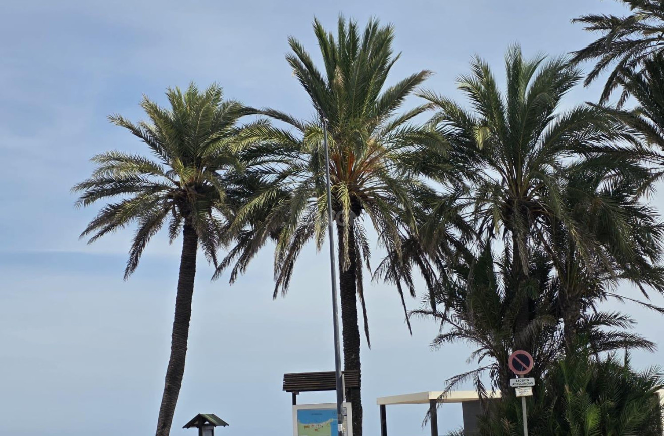 Wiederverkauf - Wohnung - Orihuela Costa - Altos De Campoamor