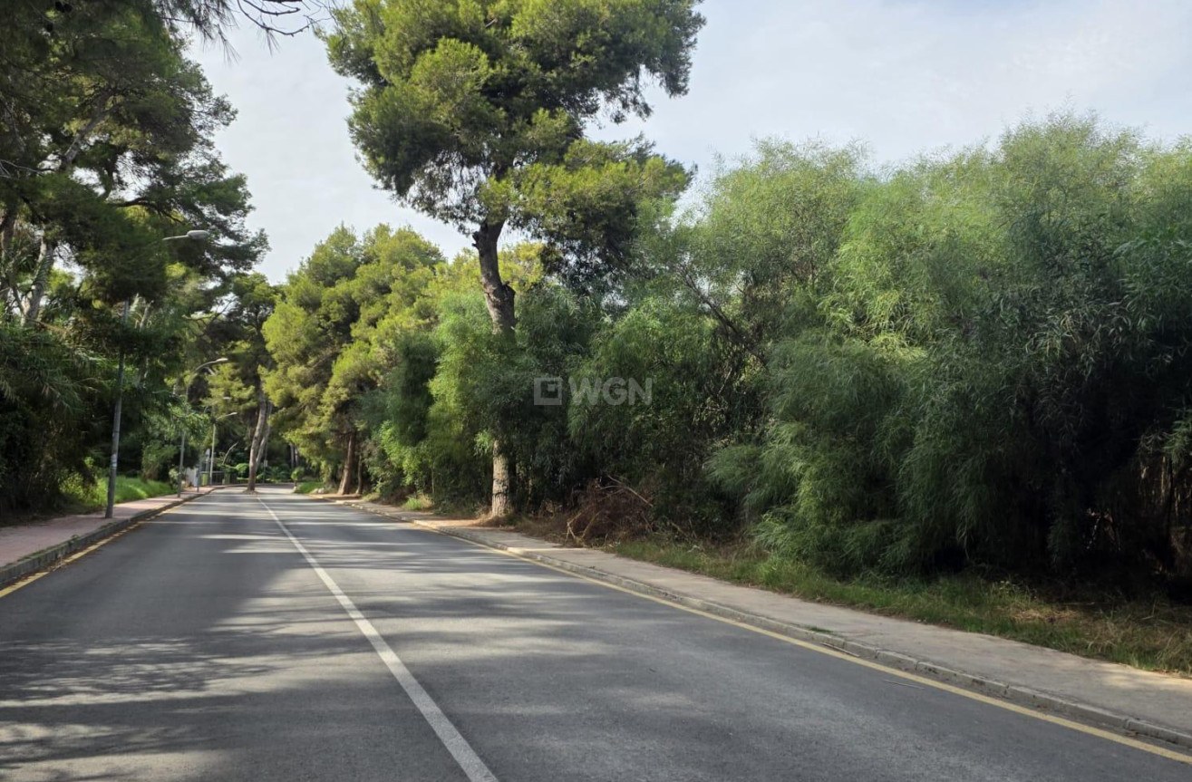 Wiederverkauf - Wohnung - Orihuela Costa - Altos De Campoamor