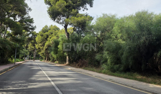 Wiederverkauf - Wohnung - Orihuela Costa - Altos De Campoamor