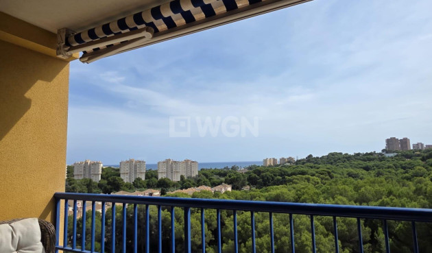 Wiederverkauf - Wohnung - Orihuela Costa - Altos De Campoamor
