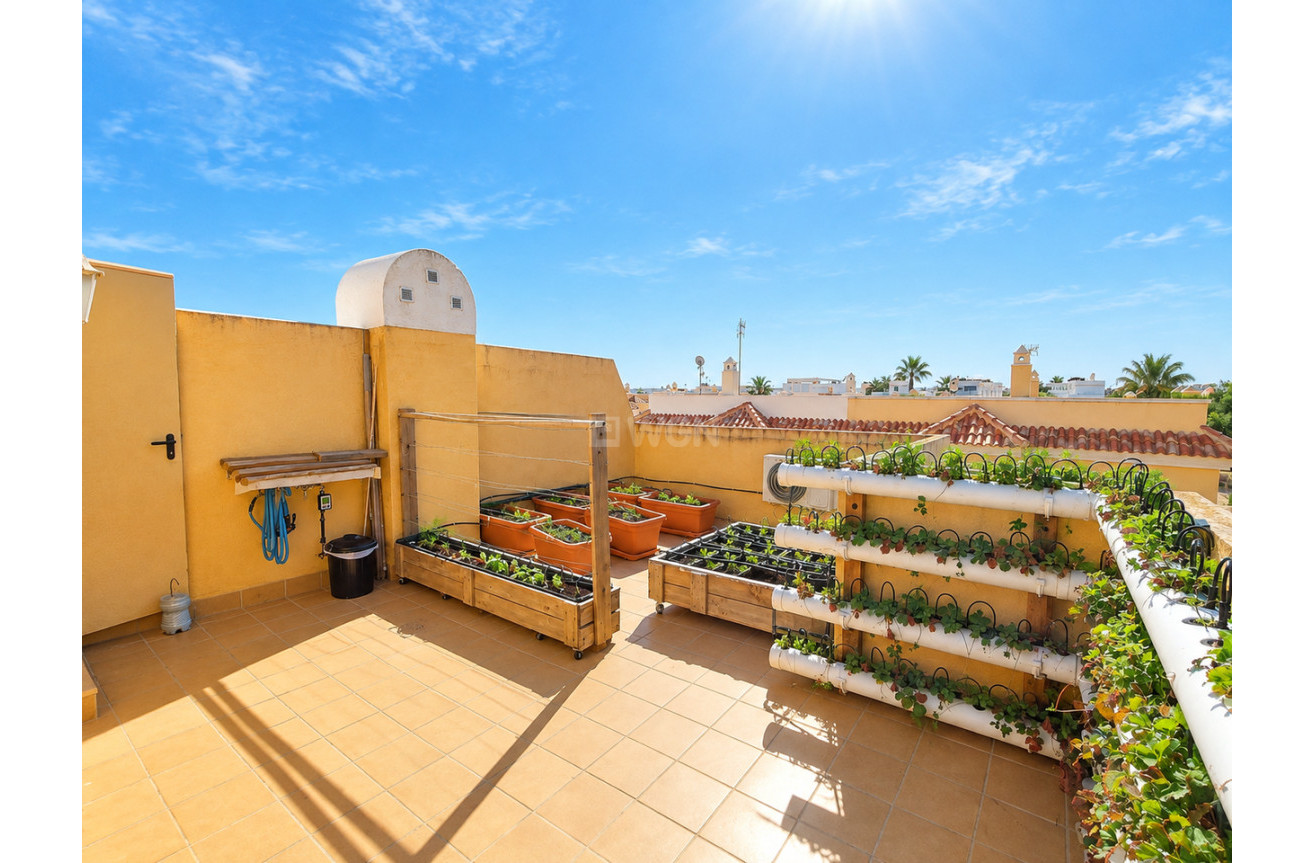 Wiederverkauf - Stadthaus - Ciudad Quesada - Costa Blanca