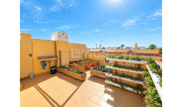 Wiederverkauf - Stadthaus - Ciudad Quesada - Costa Blanca