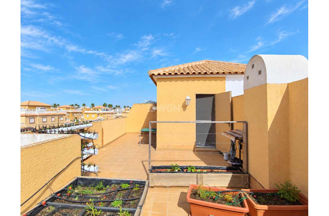 Wiederverkauf - Stadthaus - Ciudad Quesada - Costa Blanca