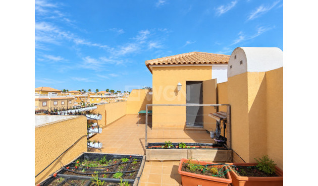 Wiederverkauf - Stadthaus - Ciudad Quesada - Costa Blanca