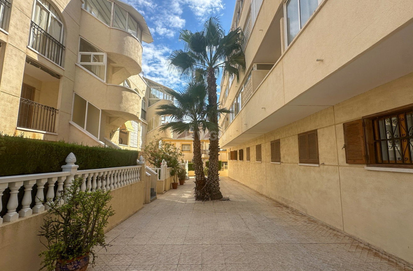 Wiederverkauf - Wohnung - La Zenia - Costa Blanca