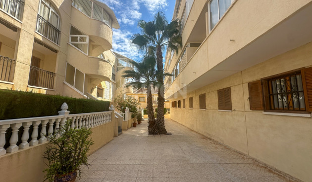 Wiederverkauf - Wohnung - La Zenia - Costa Blanca