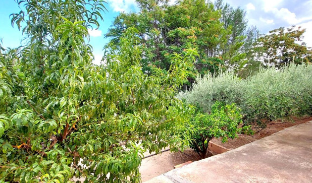 Odsprzedaż - Villa - Murcia - Inland