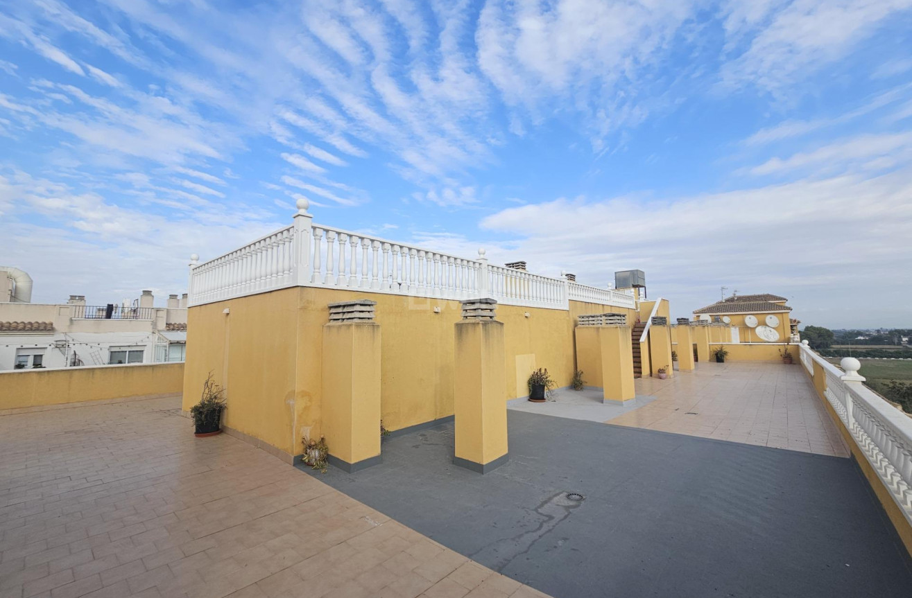Reventa - Apartamento / piso - Formentera del Segura - Pueblo 5