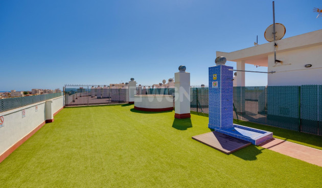 Wiederverkauf - Wohnung - Torrevieja - Centro