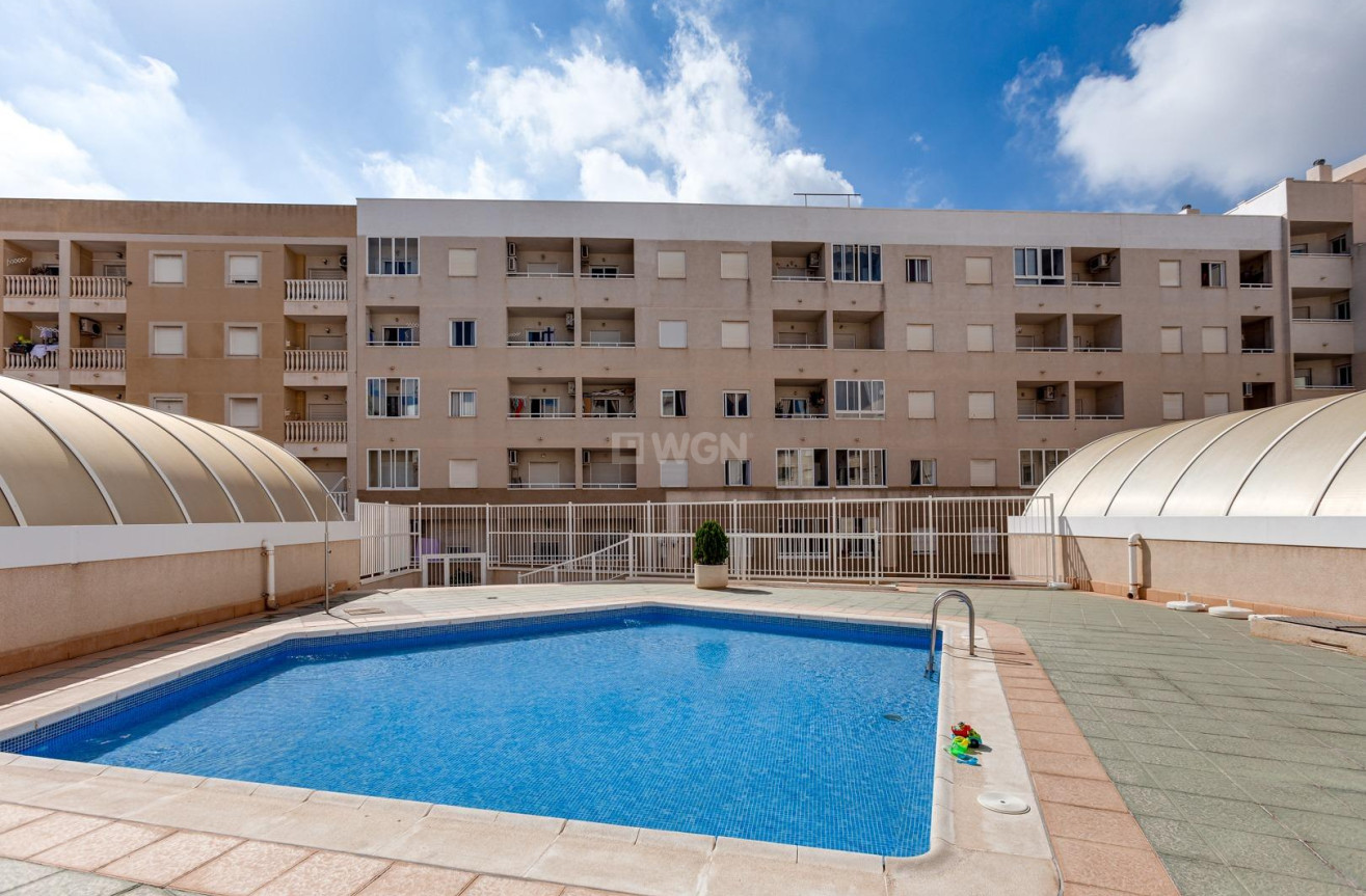 Wiederverkauf - Wohnung - Torrevieja - Centro
