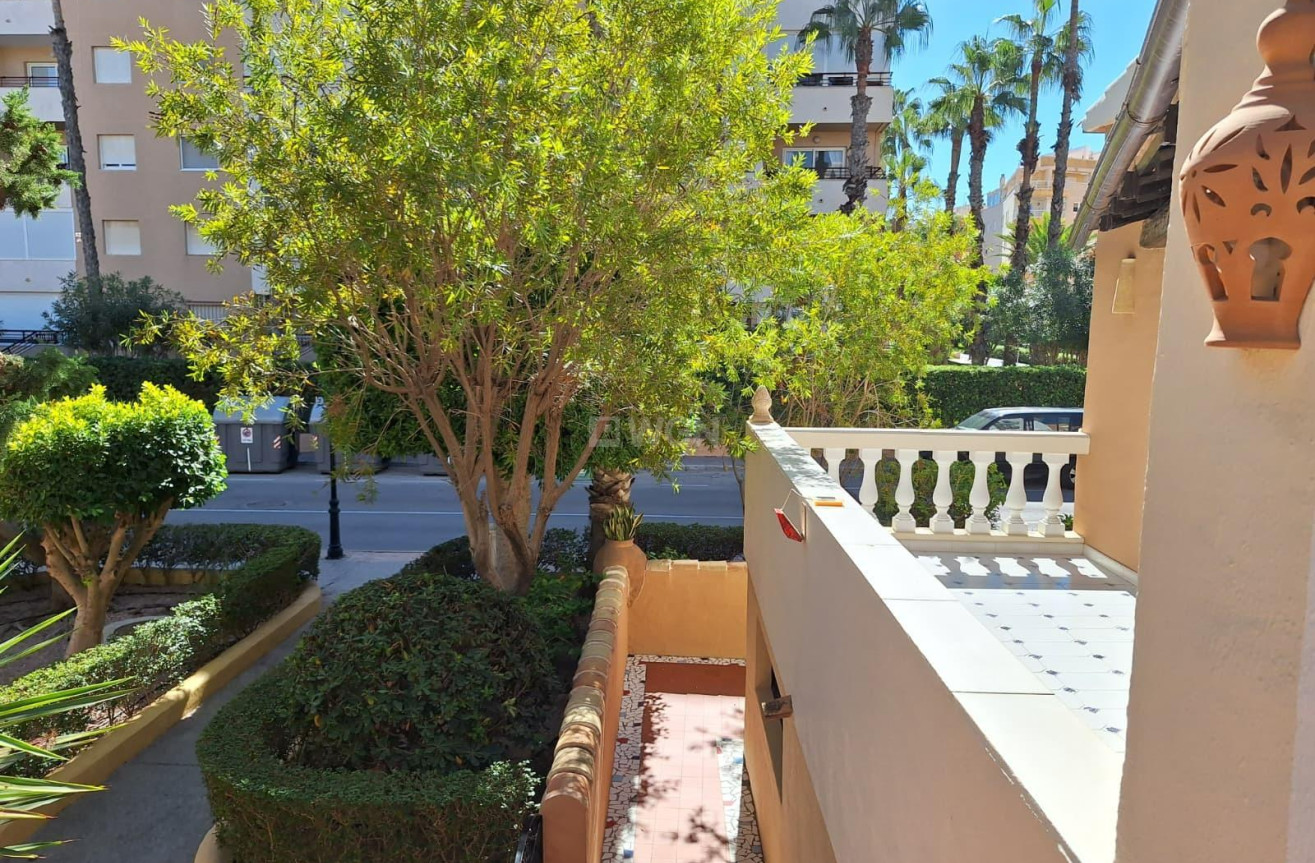 Reventa - Apartamento / piso - Torrevieja - Los Frutales