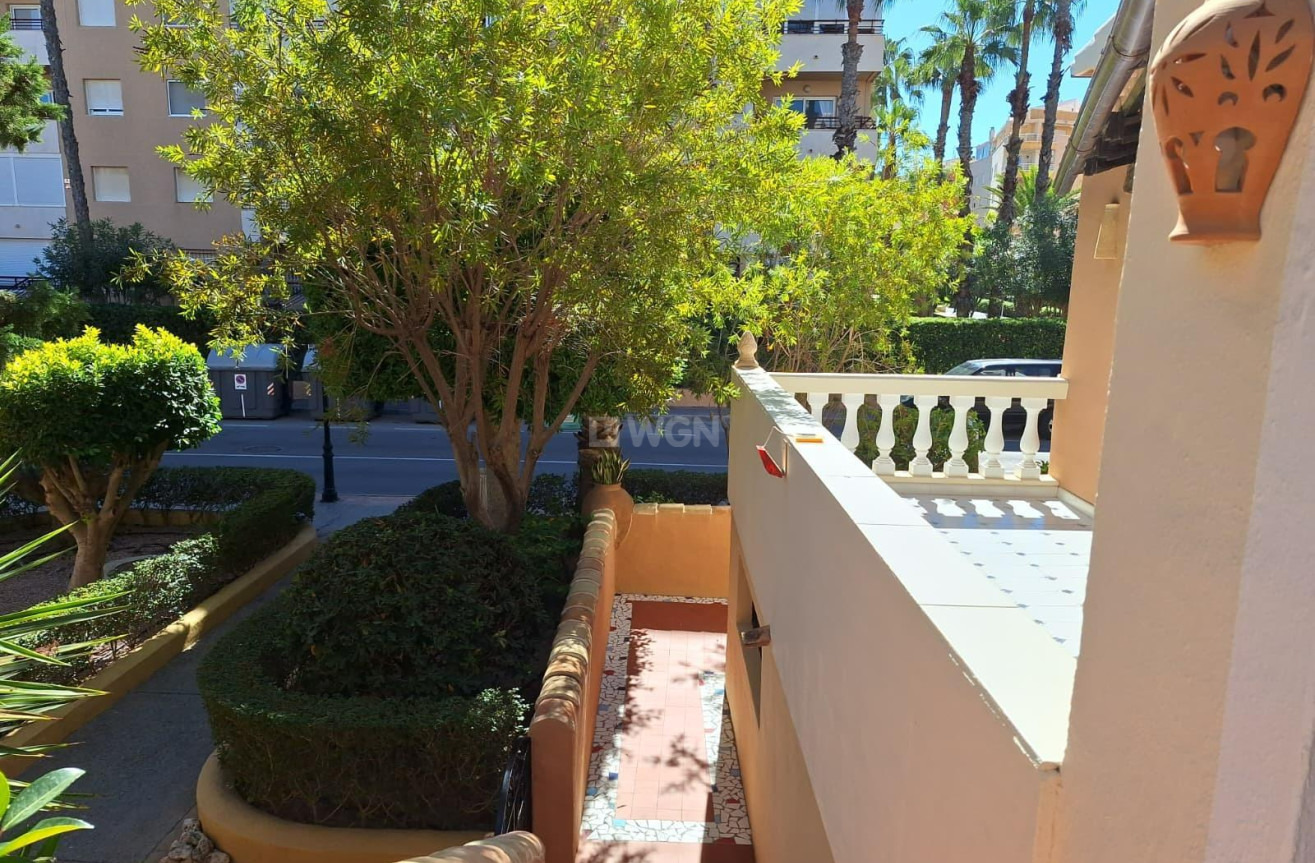 Reventa - Apartamento / piso - Torrevieja - Los Frutales