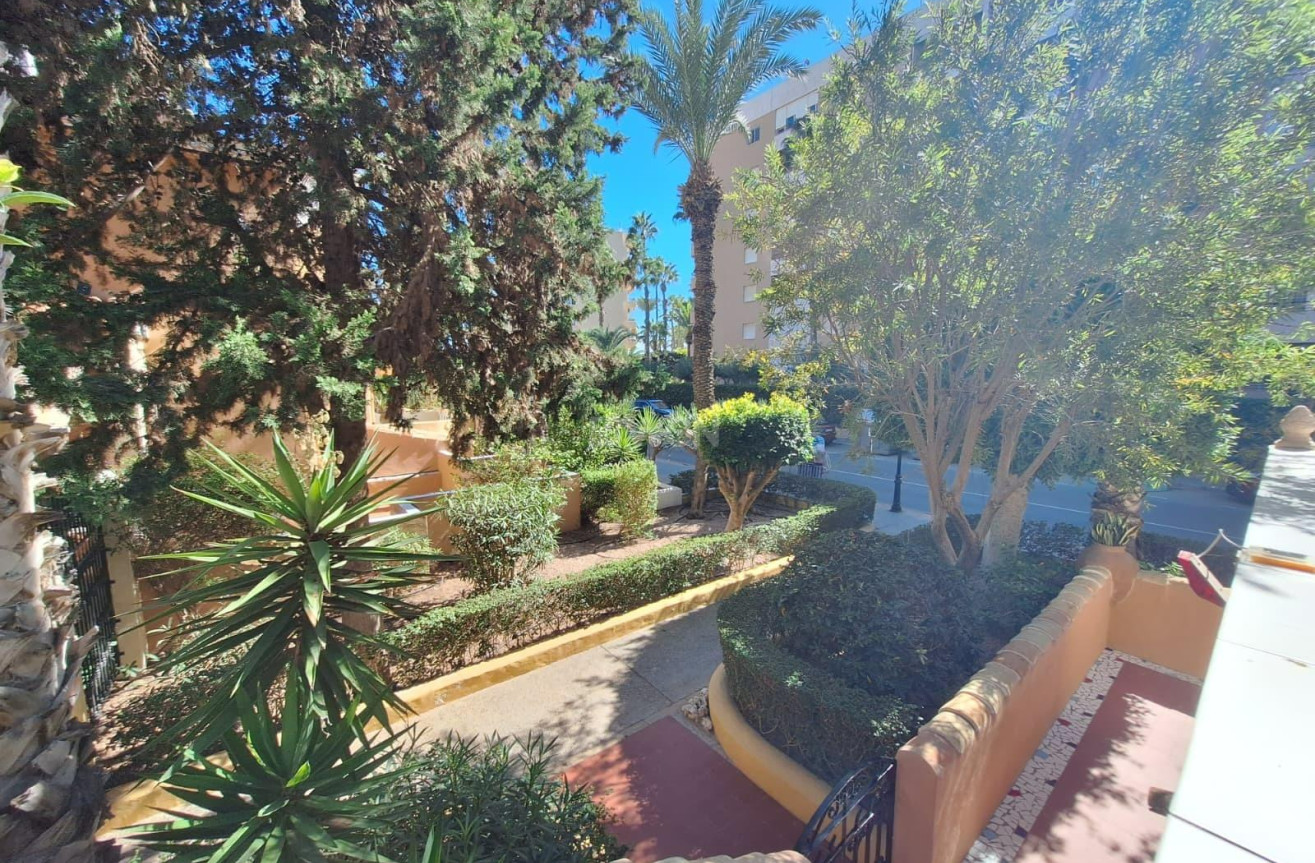 Reventa - Apartamento / piso - Torrevieja - Los Frutales
