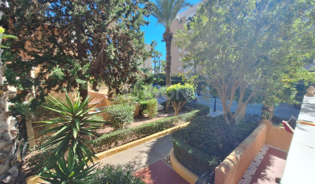 Reventa - Apartamento / piso - Torrevieja - Los Frutales