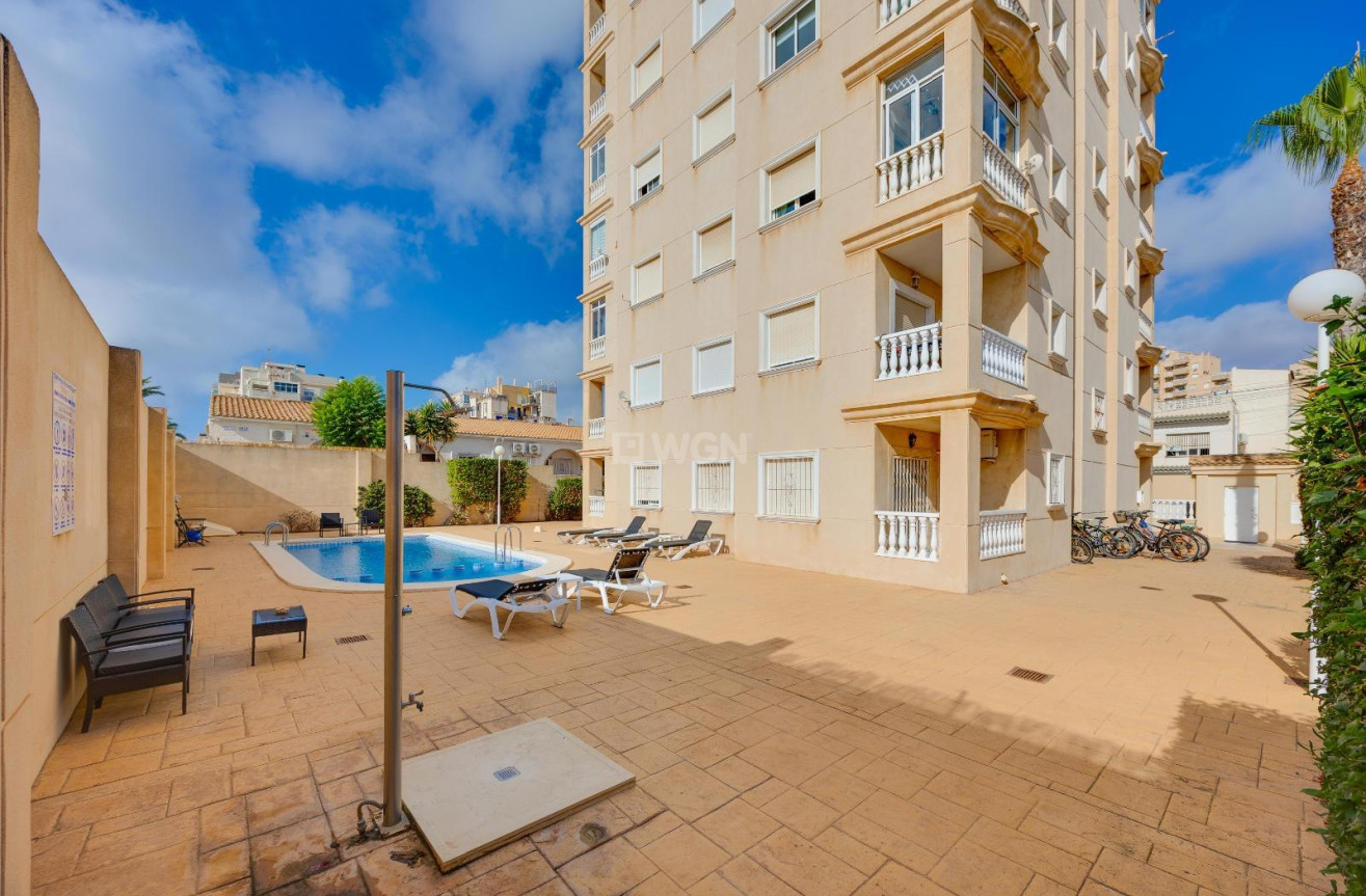Wiederverkauf - Wohnung - Torrevieja - Nueva Torrevieja