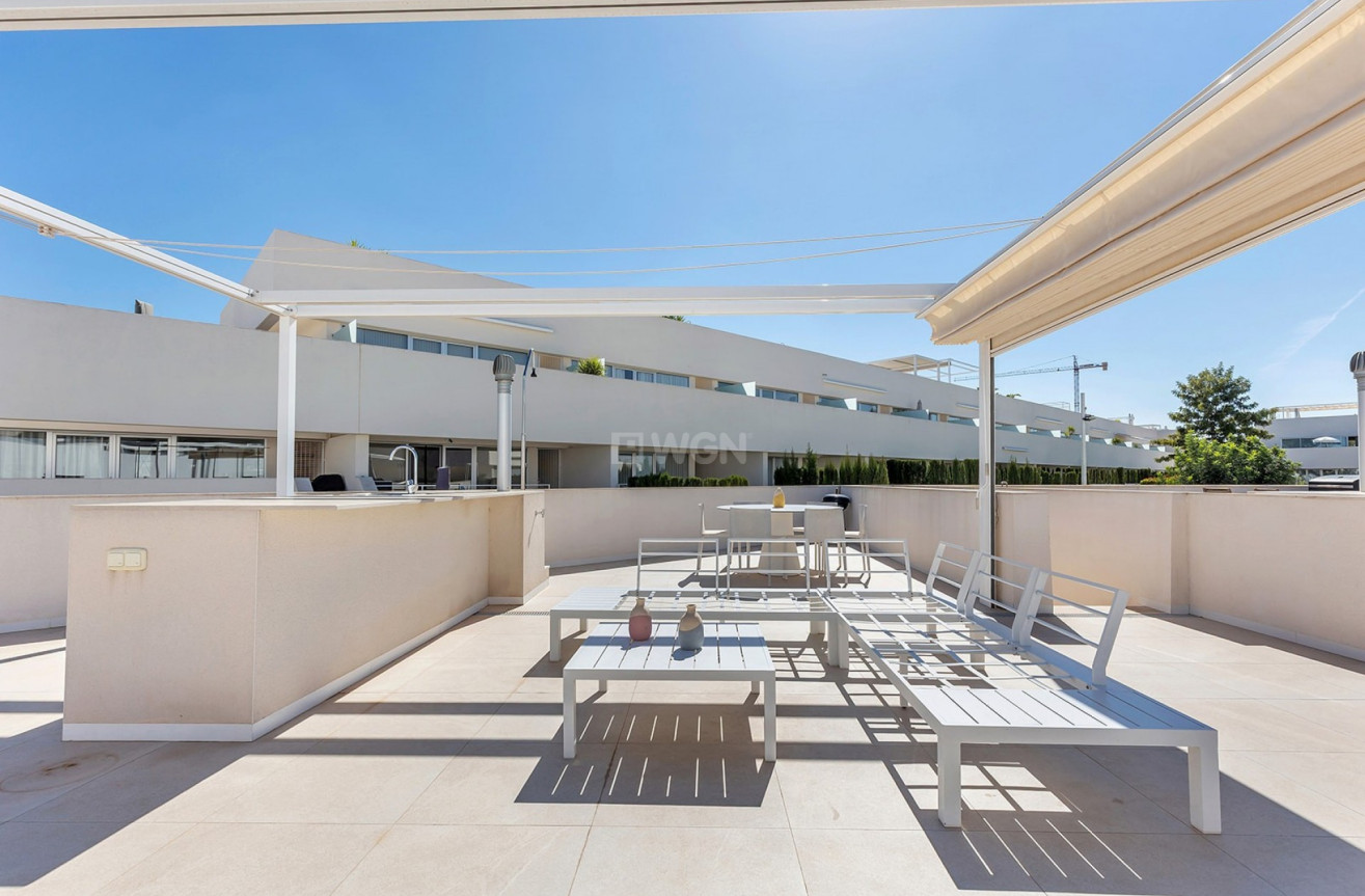 Wiederverkauf - Wohnung - Torrevieja - Costa Blanca