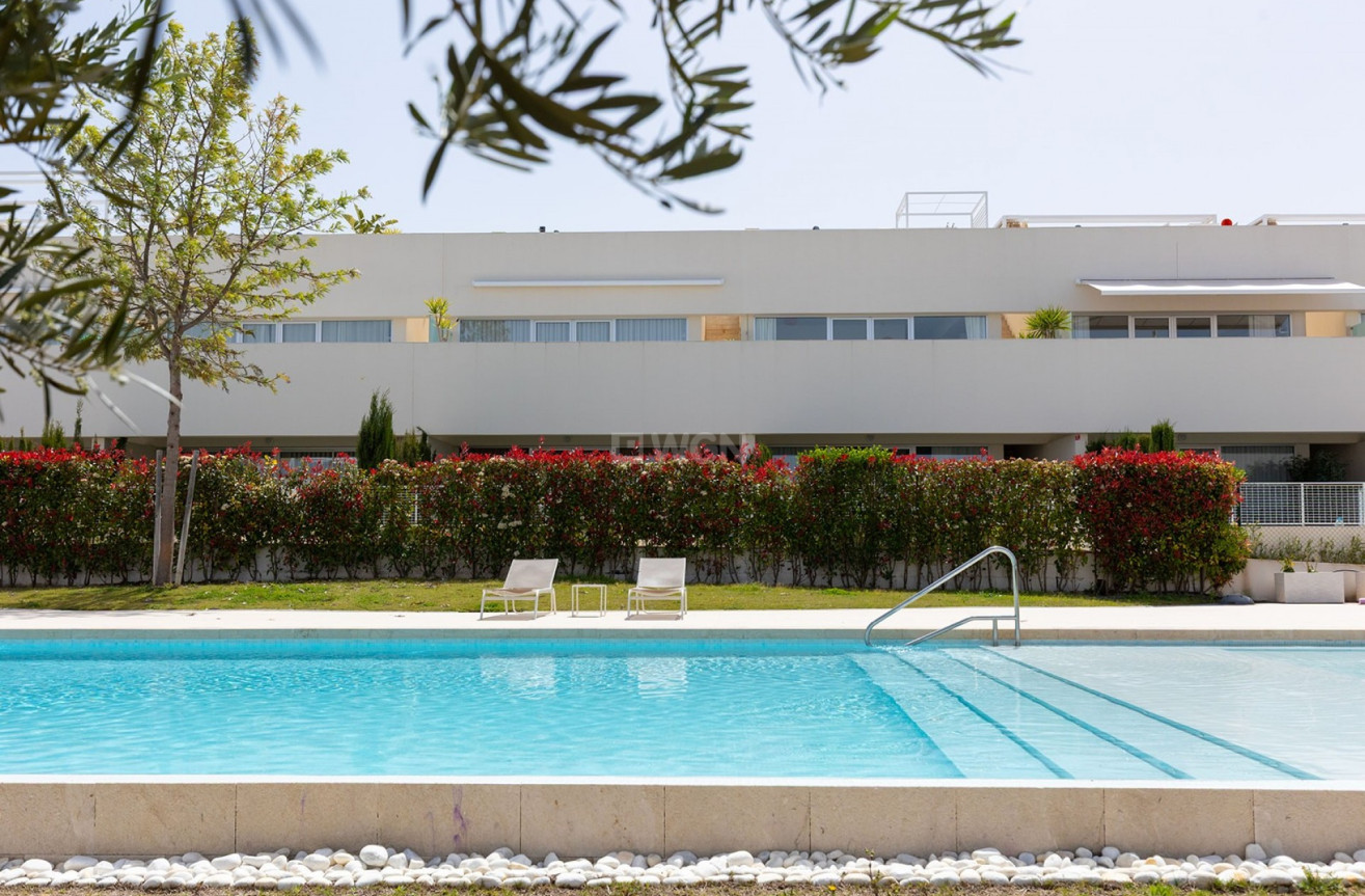 Wiederverkauf - Wohnung - Torrevieja - Costa Blanca