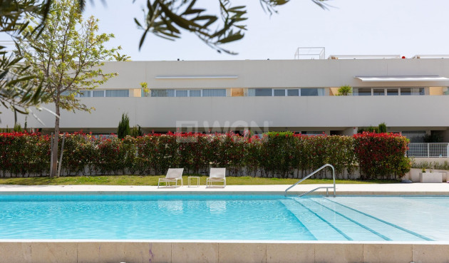 Wiederverkauf - Wohnung - Torrevieja - Costa Blanca