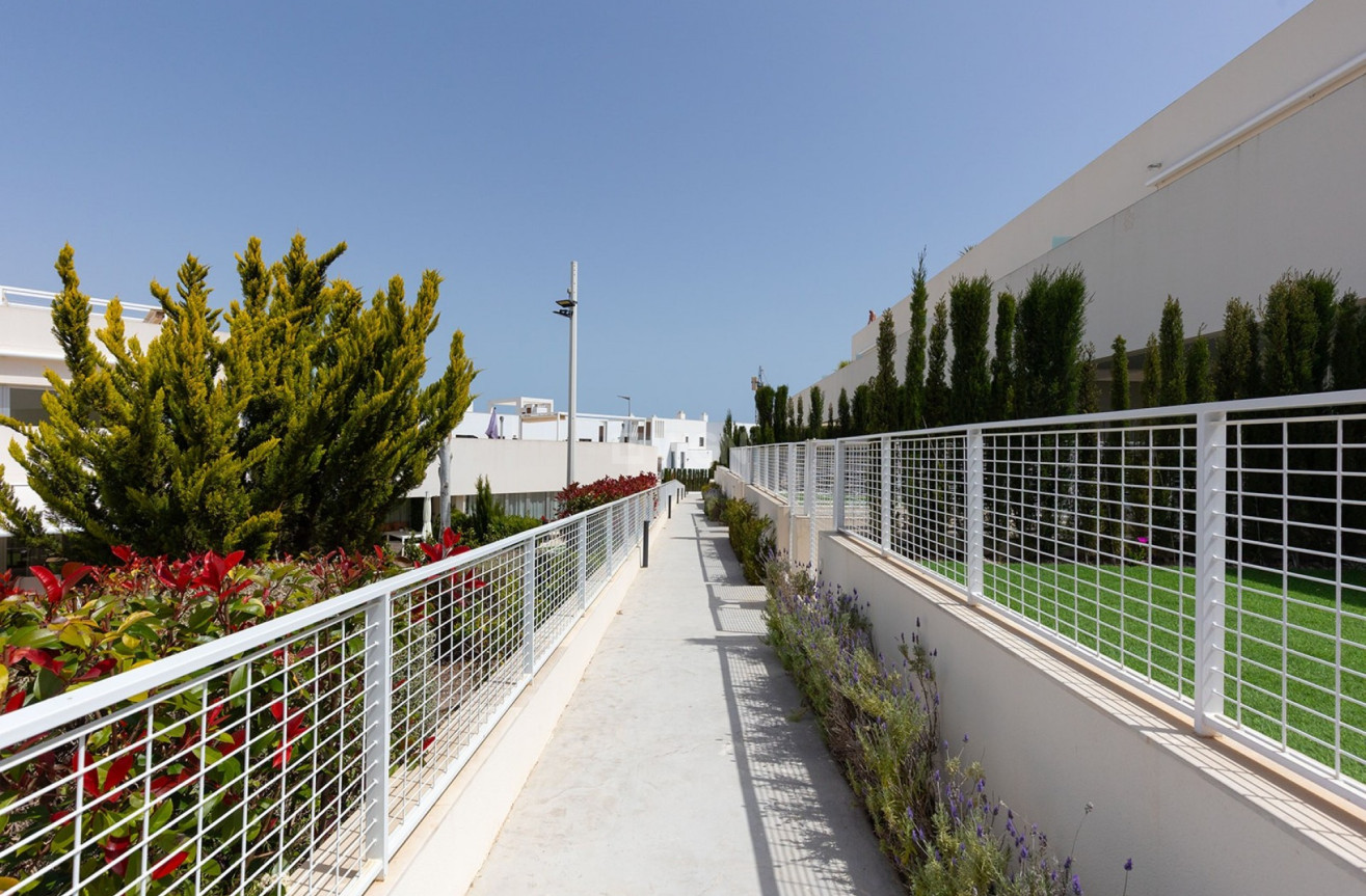 Wiederverkauf - Wohnung - Torrevieja - Costa Blanca