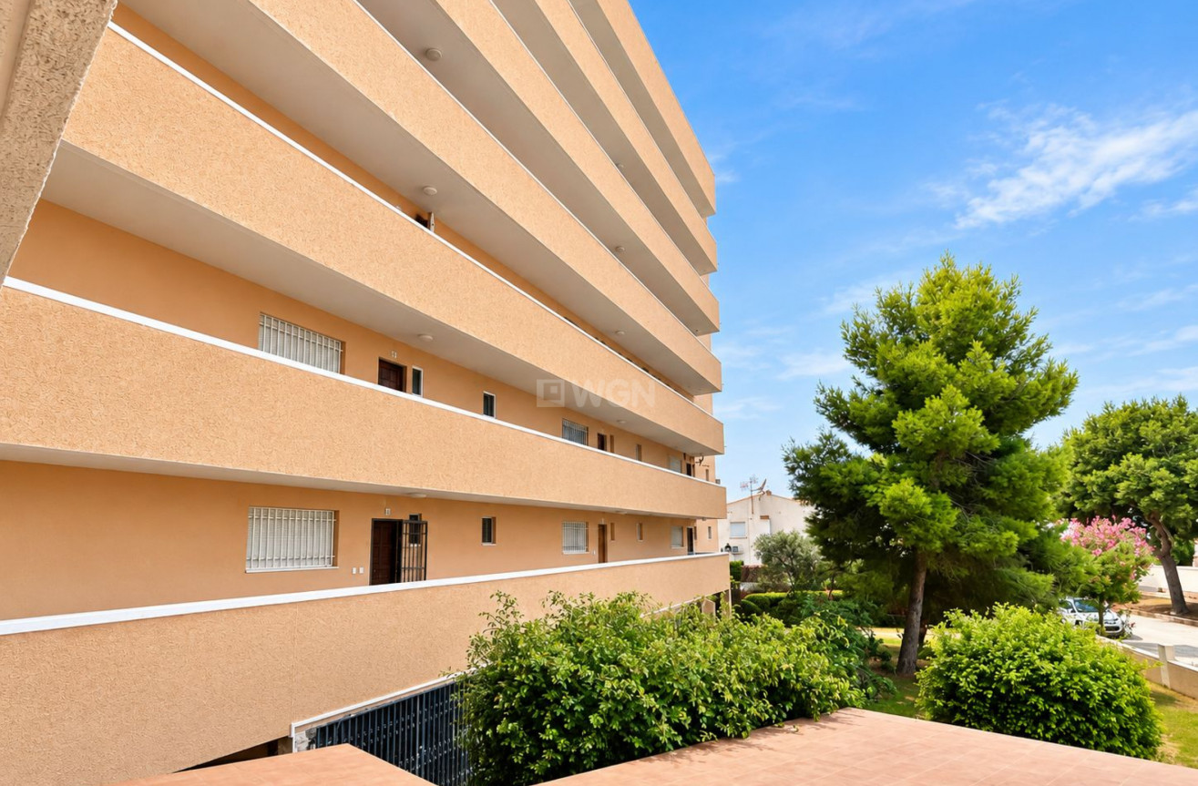 Wiederverkauf - Wohnung - La Zenia - Costa Blanca