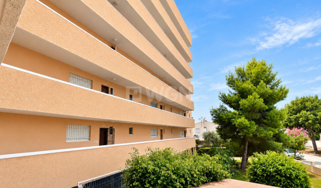 Wiederverkauf - Wohnung - La Zenia - Costa Blanca