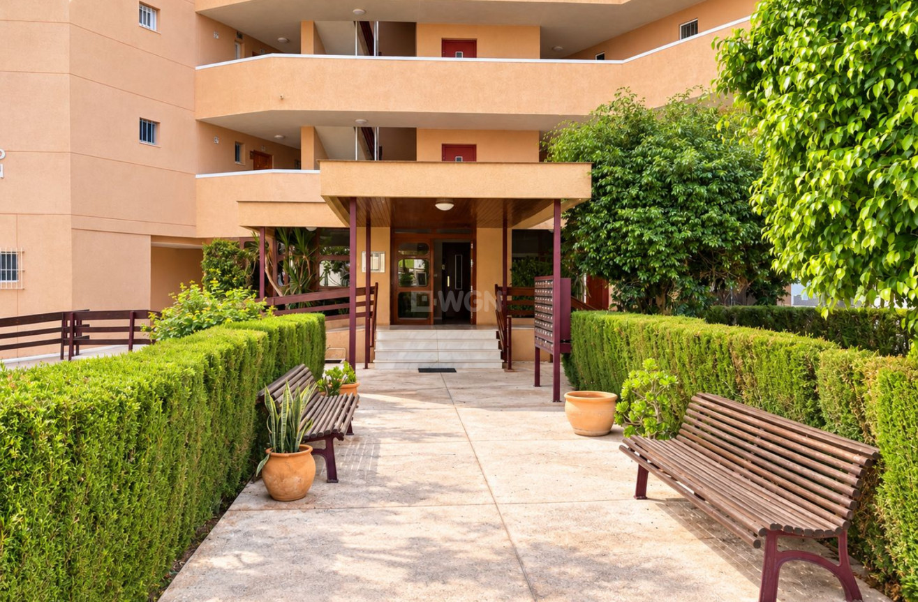 Wiederverkauf - Wohnung - La Zenia - Costa Blanca
