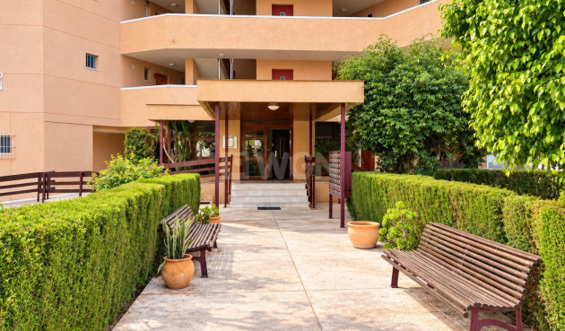 Wiederverkauf - Wohnung - La Zenia - Costa Blanca