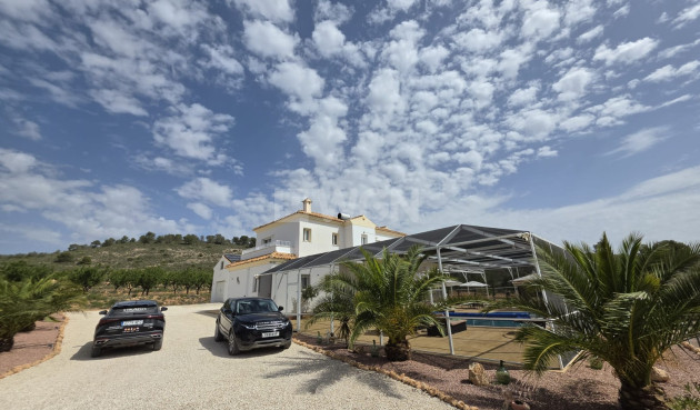 Wiederverkauf - Villa - Pinoso - Inland