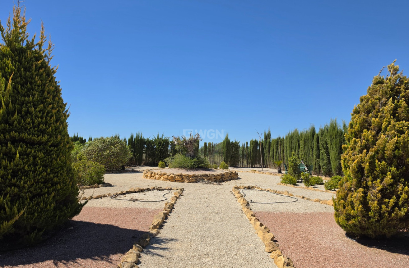 Wiederverkauf - Villa - Pinoso - Inland