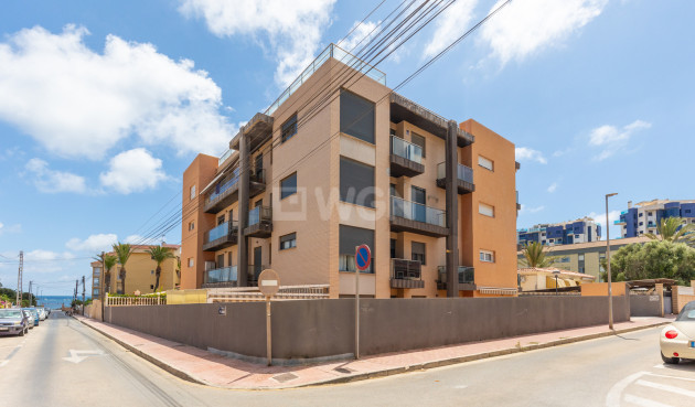 Resale - Apartment / flat - Torrevieja - Costa Blanca