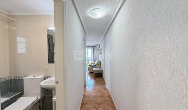 Wiederverkauf - Wohnung - Torrevieja - PARQUE DE LAS NACIONES