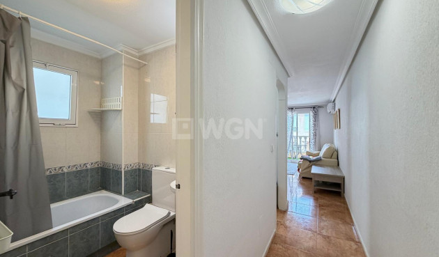 Wiederverkauf - Wohnung - Torrevieja - PARQUE DE LAS NACIONES