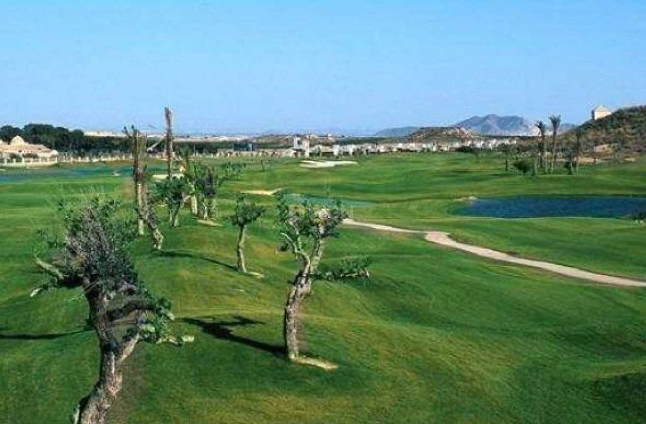 Nowy budynek - Villa - Sucina - Peraleja Golf