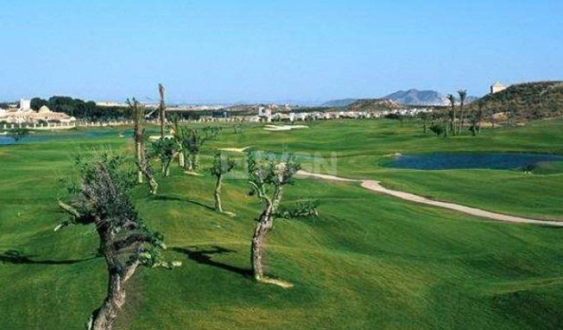Nowy budynek - Villa - Sucina - Peraleja Golf