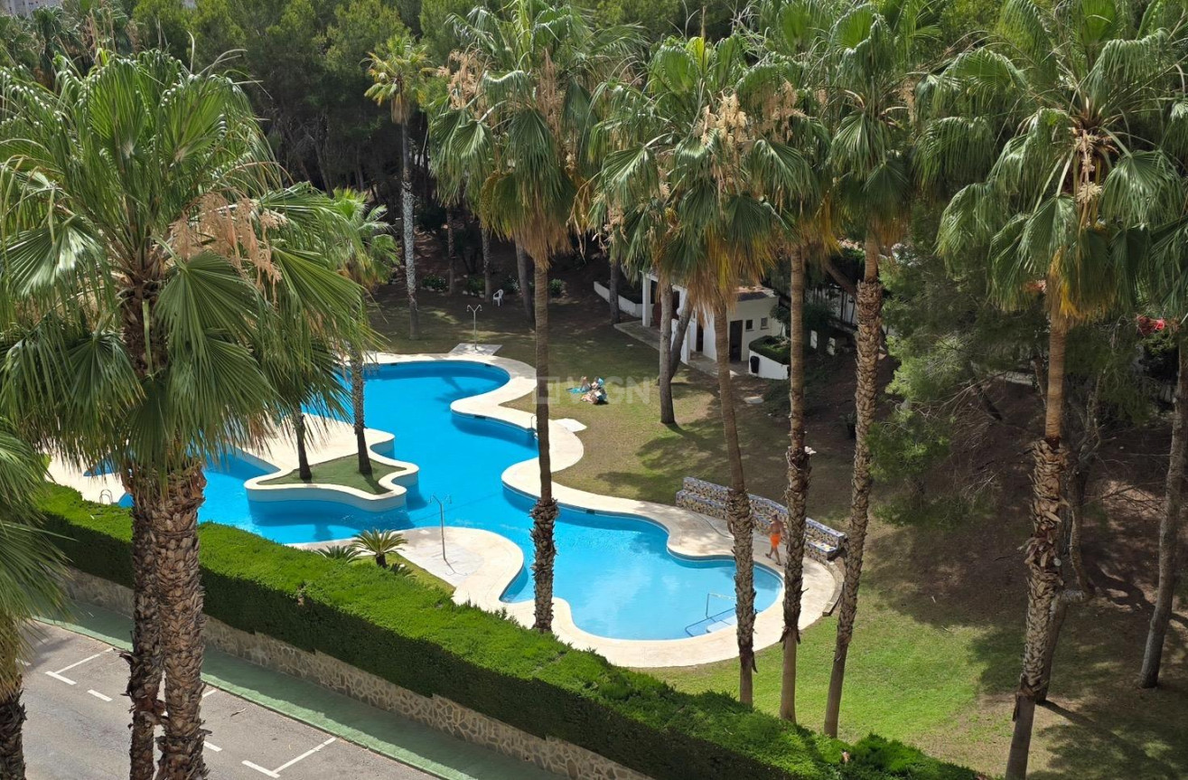 Wiederverkauf - Wohnung - Orihuela Costa - Altos De Campoamor
