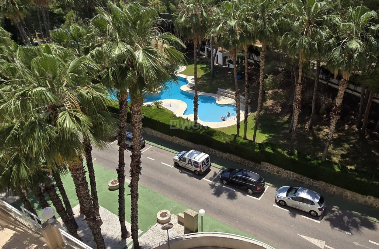 Wiederverkauf - Wohnung - Orihuela Costa - Altos De Campoamor