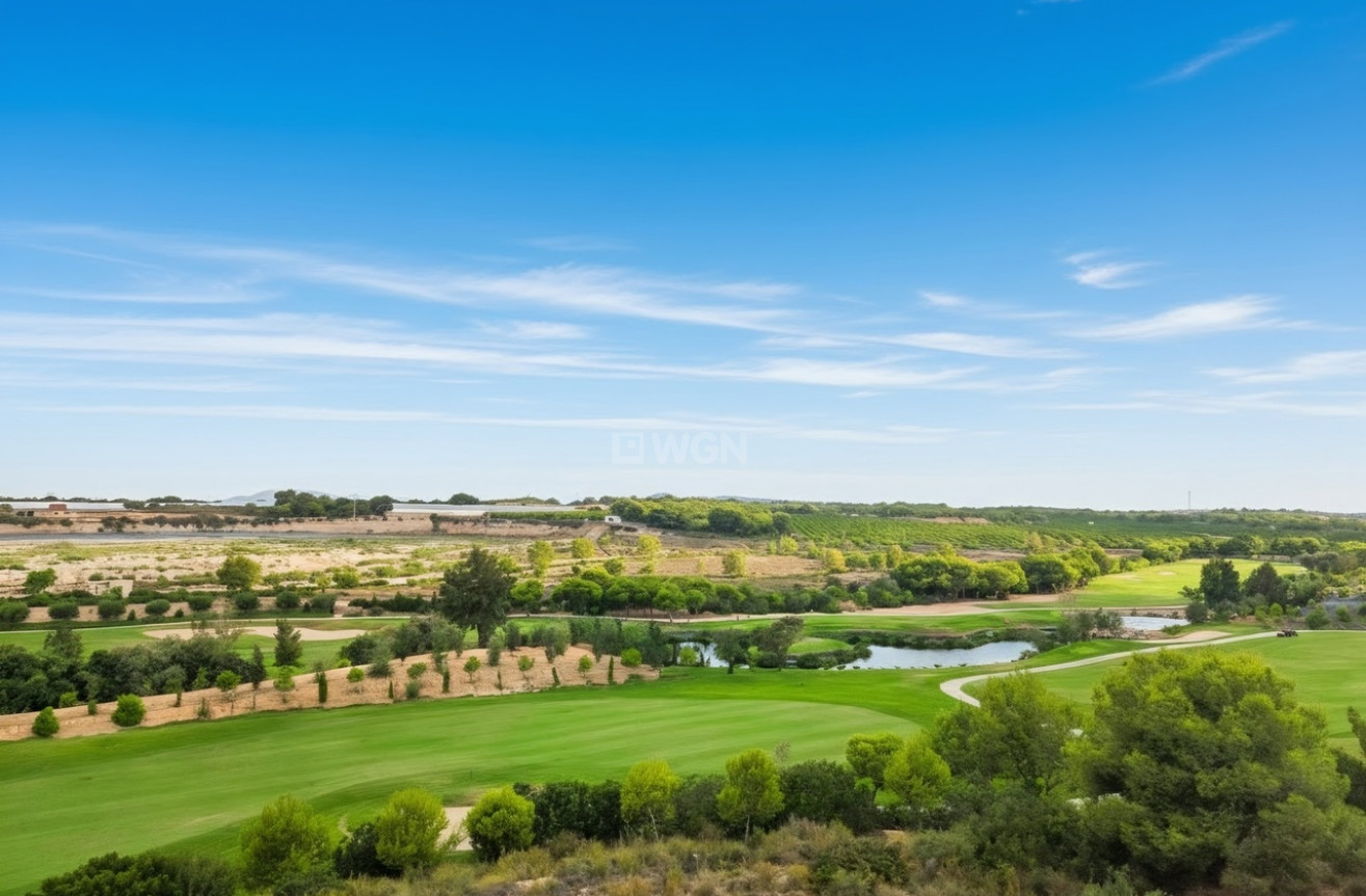 Wiederverkauf - Penthouse - Pilar de la Horadada - Costa Blanca
