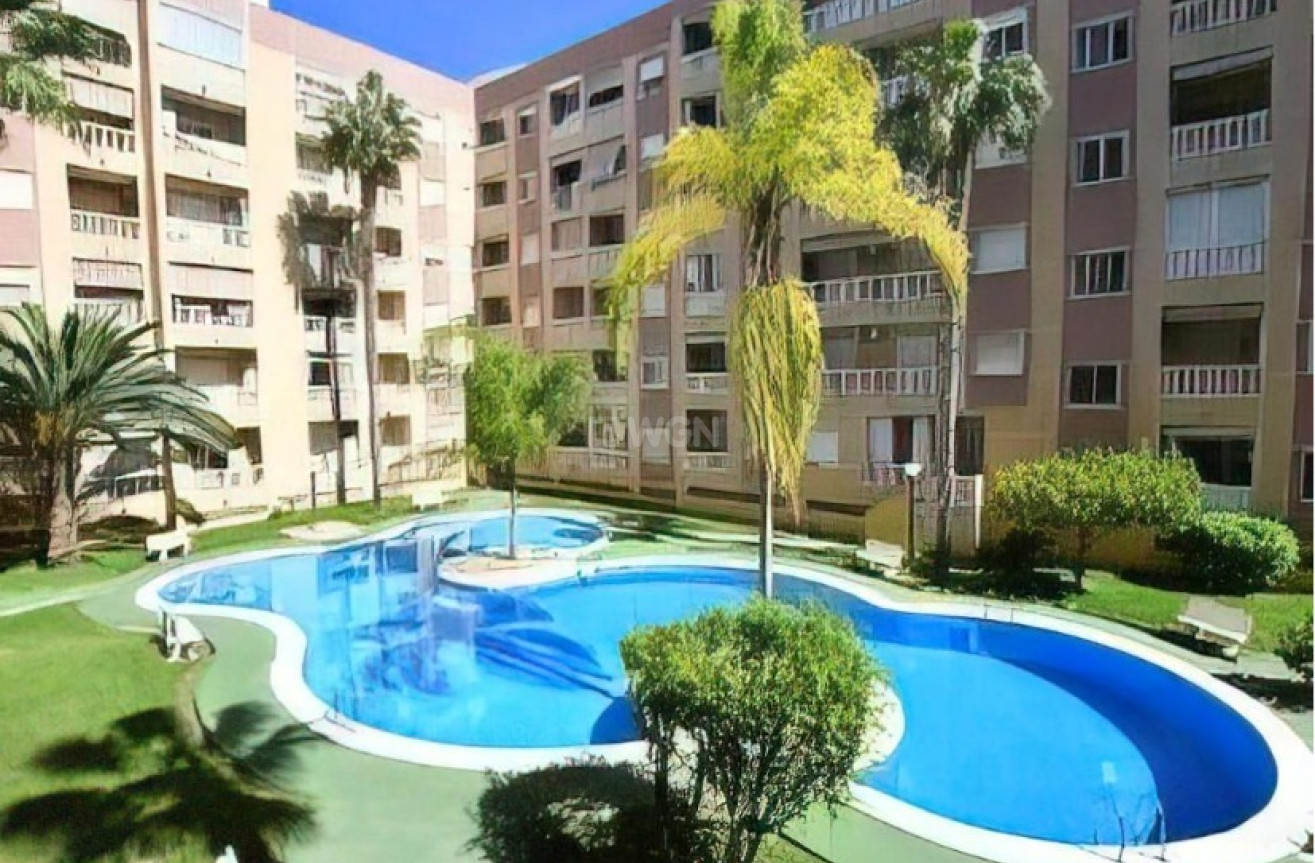 Odsprzedaż - Daszek - Torrevieja - PARQUE DE LAS NACIONES