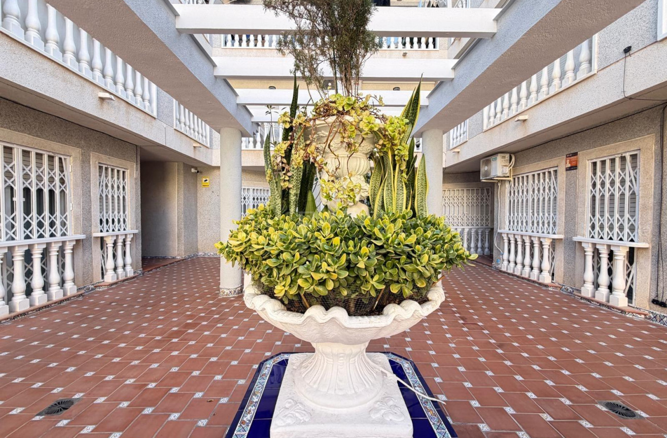 Wiederverkauf - Wohnung - Torrevieja - Playa de los Locos