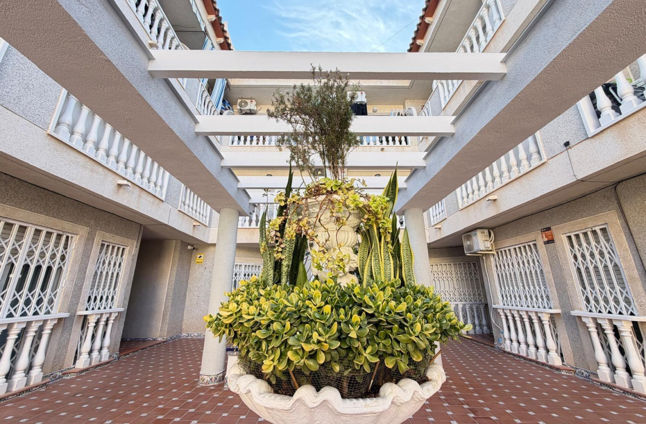 Wiederverkauf - Wohnung - Torrevieja - Playa de los Locos