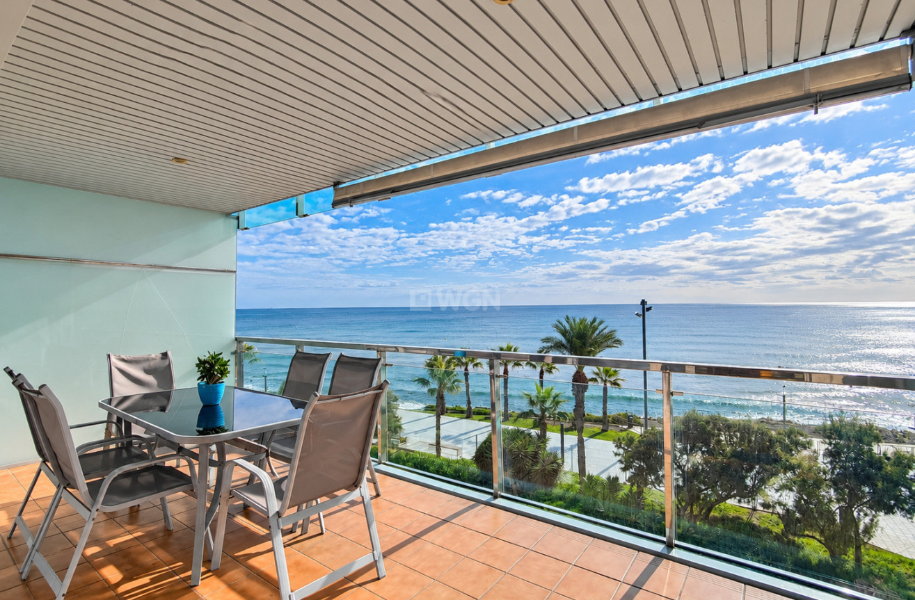 Wiederverkauf - Wohnung - Torrevieja - Costa Blanca