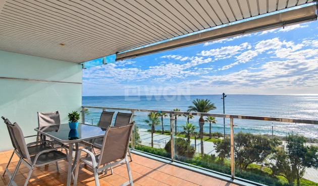 Wiederverkauf - Wohnung - Torrevieja - Costa Blanca