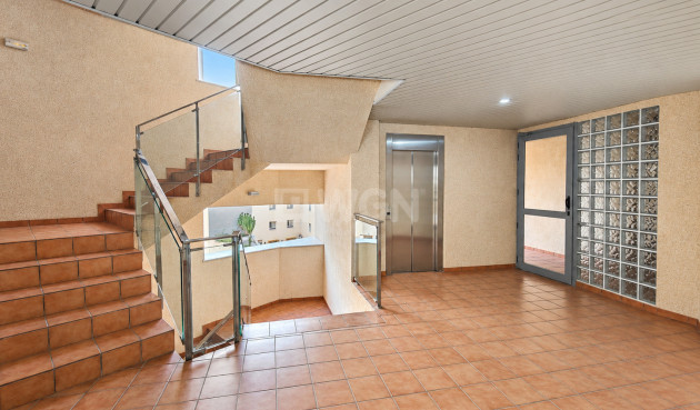 Wiederverkauf - Wohnung - Torrevieja - Costa Blanca