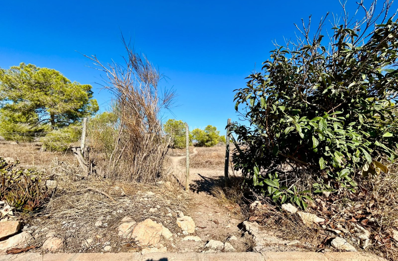 Resale - Townhouse - Torrevieja - Costa Blanca