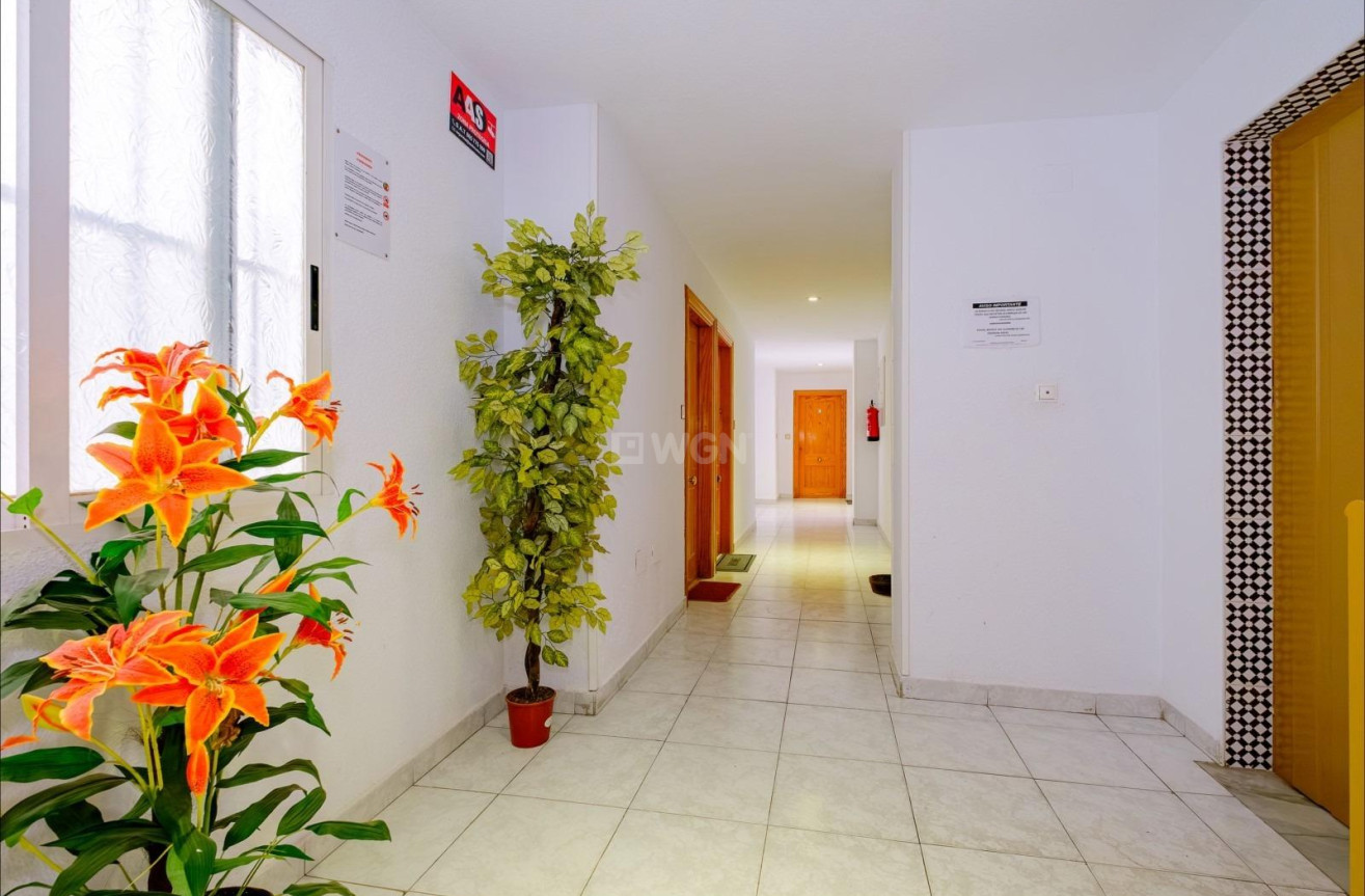 Odsprzedaż - Mieszkanie w bloku - Torrevieja - Playa del Cura