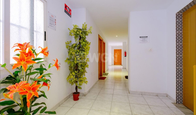 Odsprzedaż - Mieszkanie w bloku - Torrevieja - Playa del Cura
