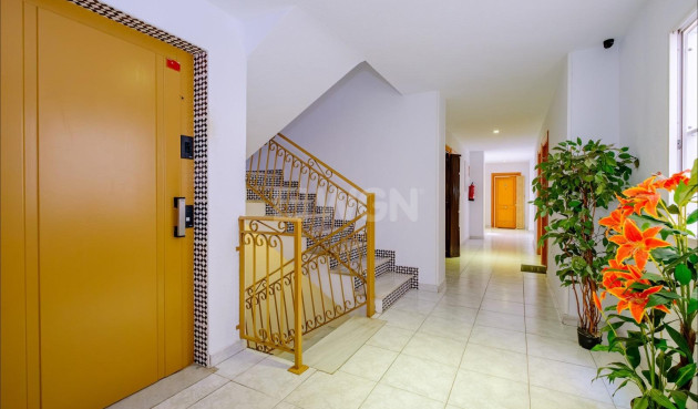 Odsprzedaż - Mieszkanie w bloku - Torrevieja - Playa del Cura