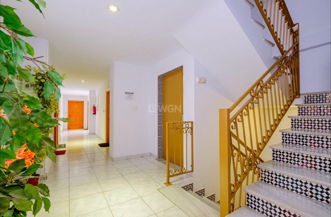 Odsprzedaż - Mieszkanie w bloku - Torrevieja - Playa del Cura